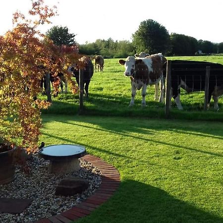 Courtyard Cottage Lockerbie Extérieur photo