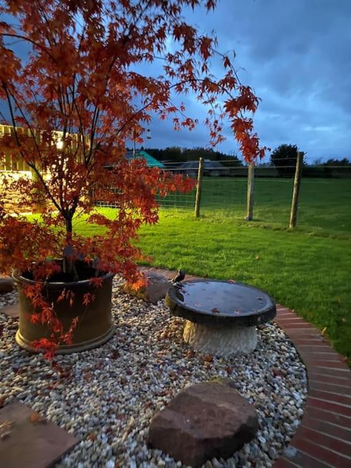 Courtyard Cottage Lockerbie Extérieur photo