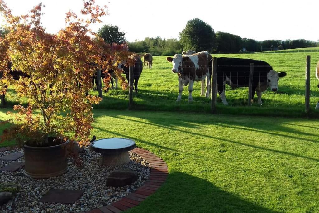 Courtyard Cottage Lockerbie Extérieur photo